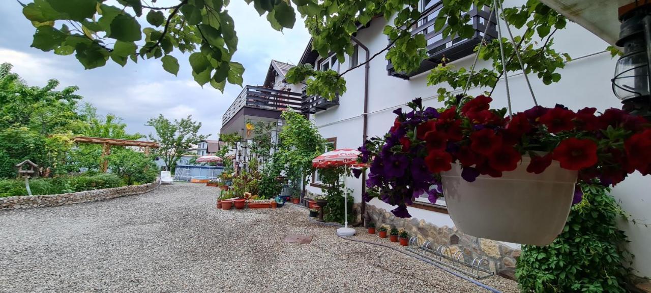 Apartamento Casa Aryan Sînpetru Exterior foto