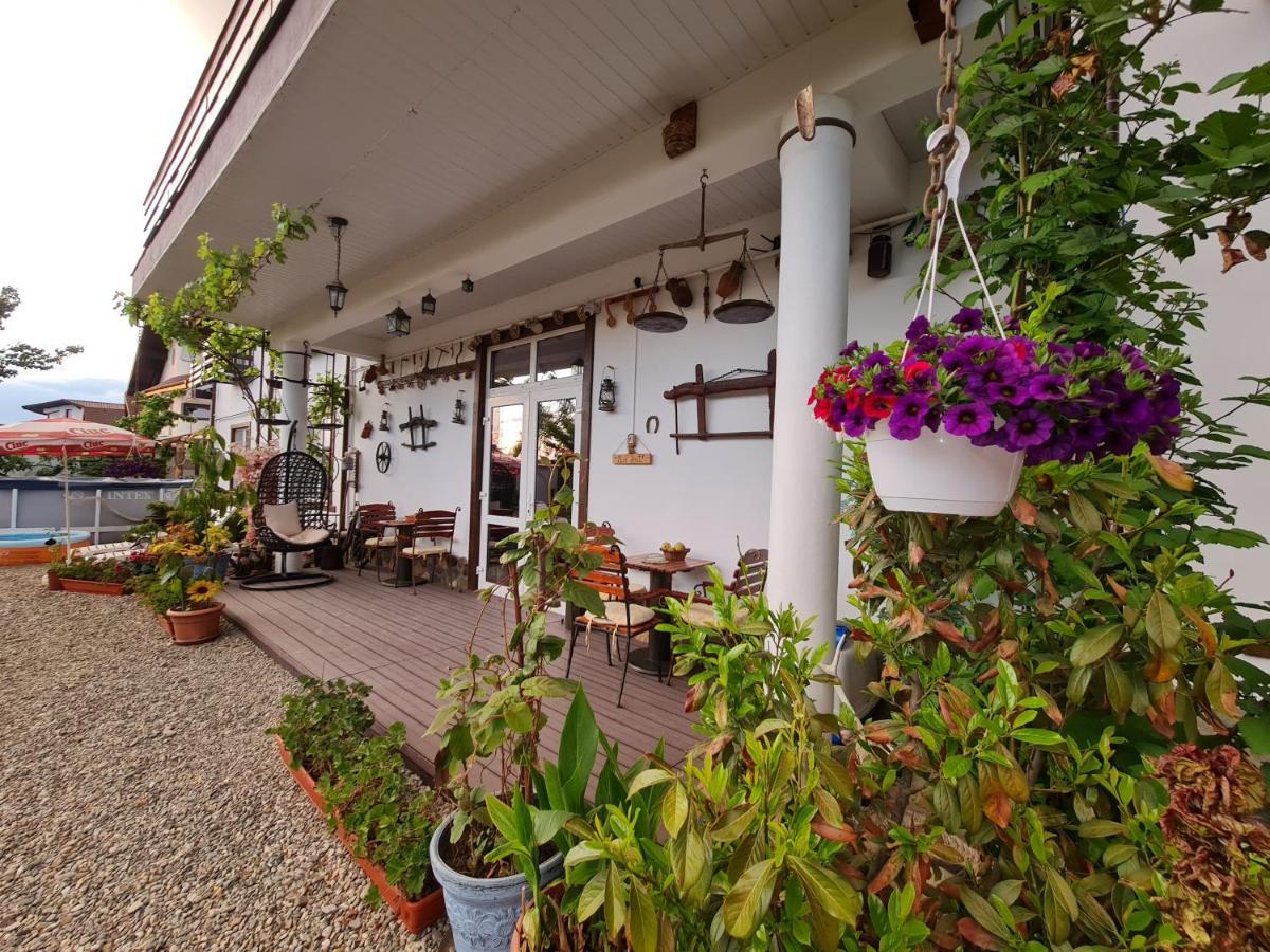 Apartamento Casa Aryan Sînpetru Exterior foto